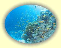 IMG_2007_05_27 18_16_36 * 2272 x 1704 * (619KB)